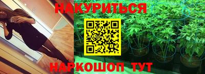 сатива Нальчик