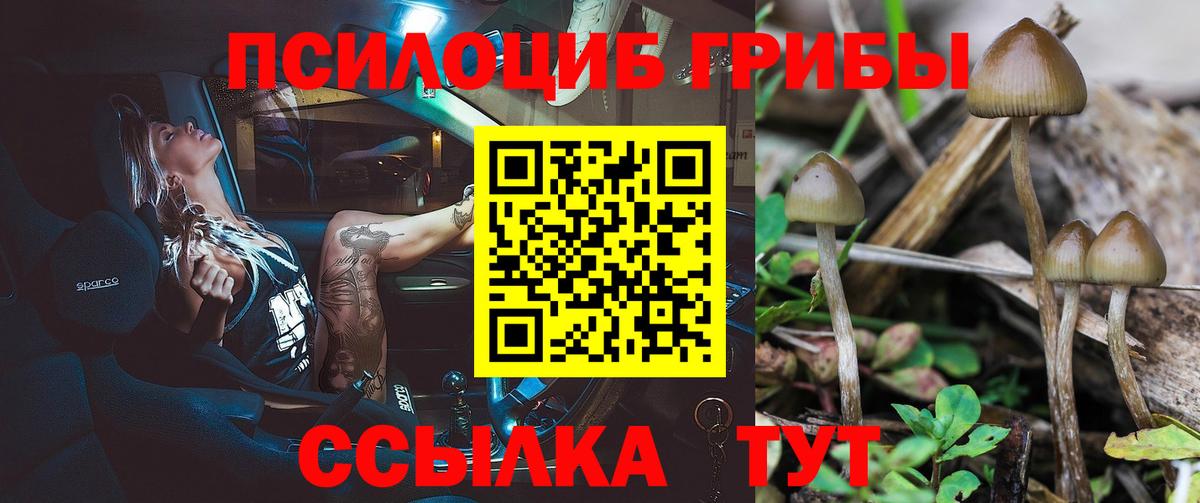Псилоцибиновые грибы Psilocybe  Псилоцибиновые грибы мицелий  Вход с VPN  Сочи 